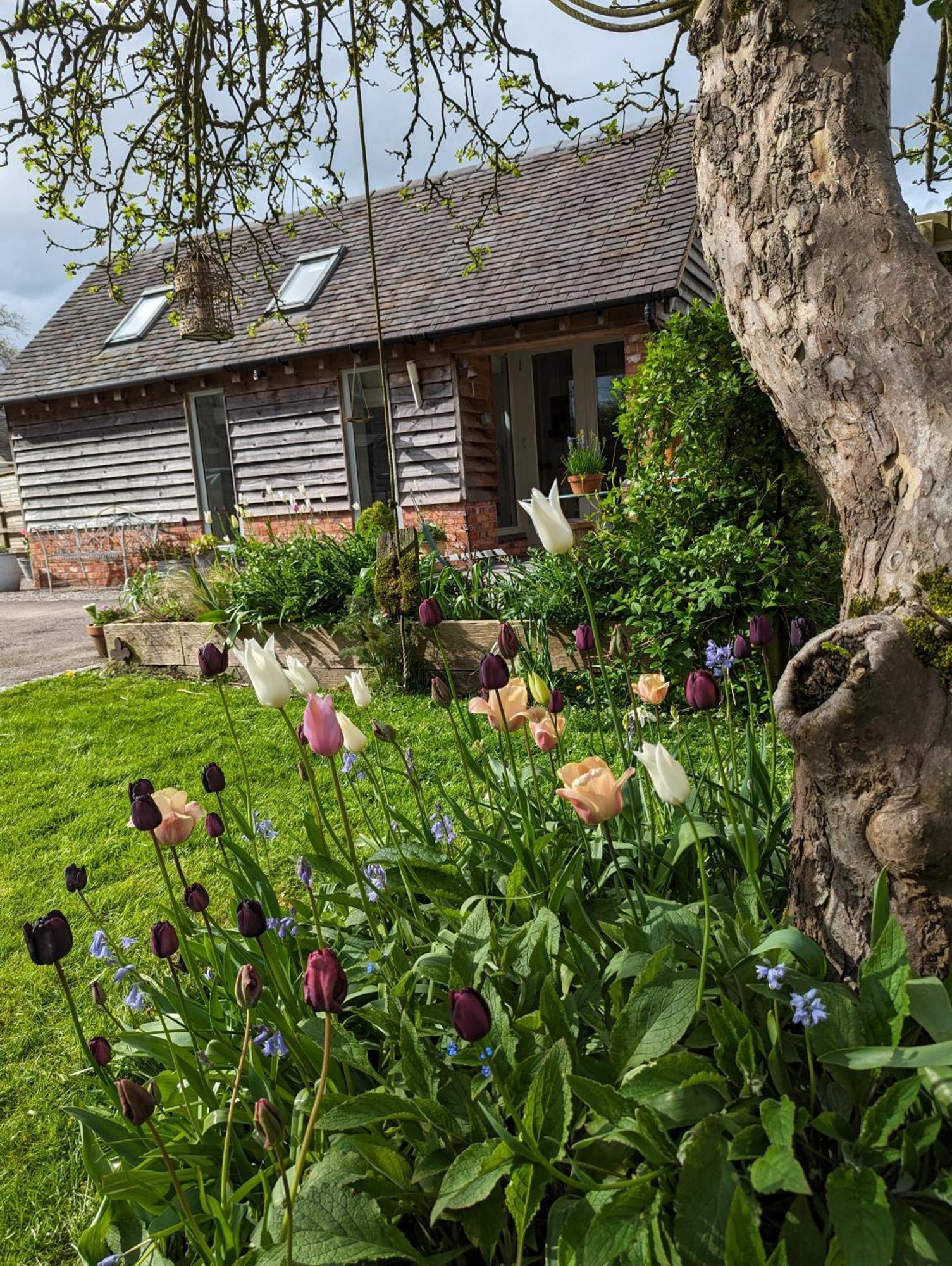 The Dorm Bed And Breakfast Eccleshall Extérieur photo