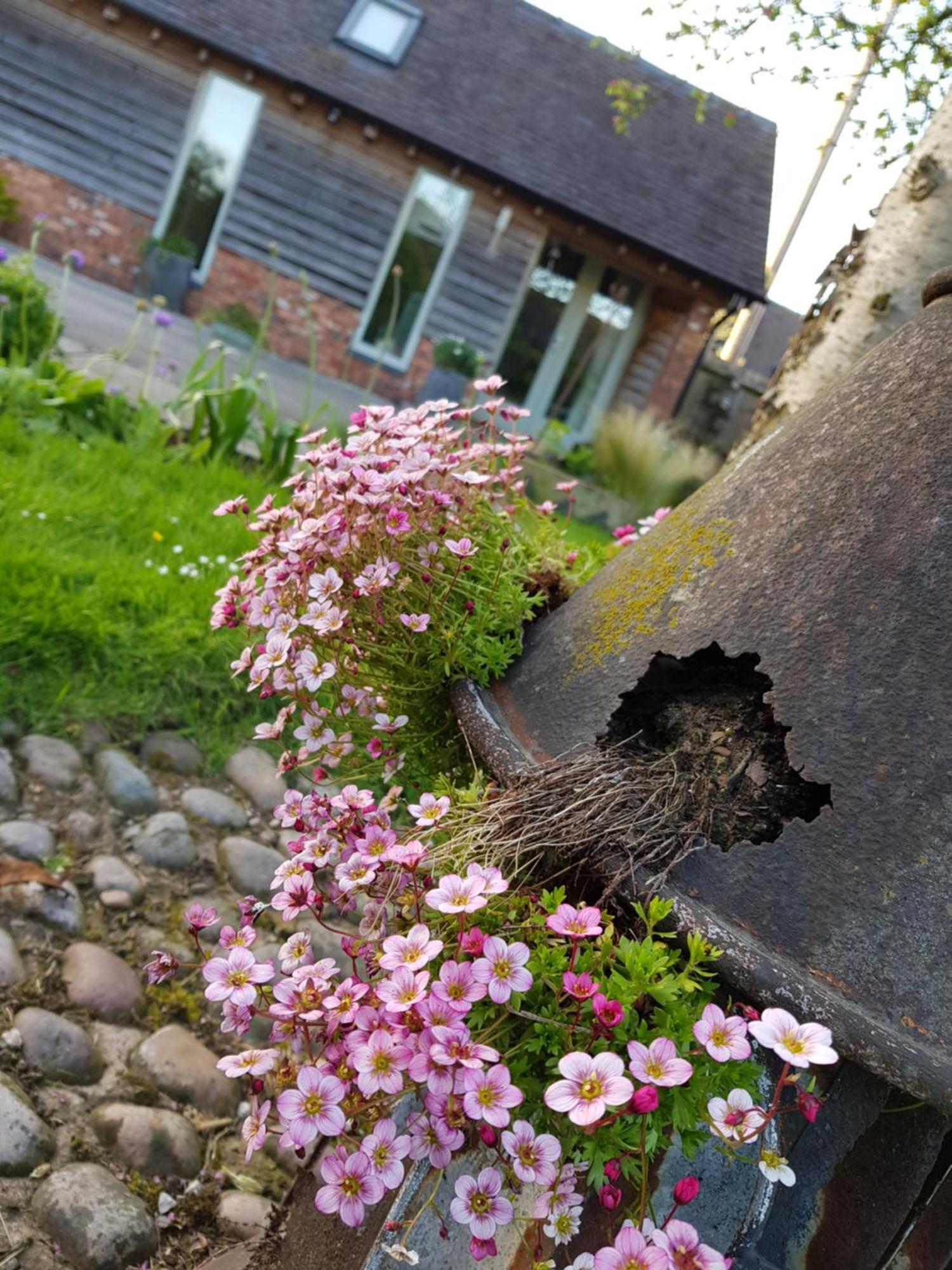 The Dorm Bed And Breakfast Eccleshall Extérieur photo